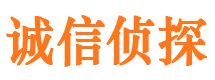 合浦侦探公司